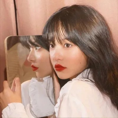 莲花