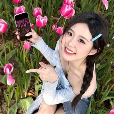 老虎的故事